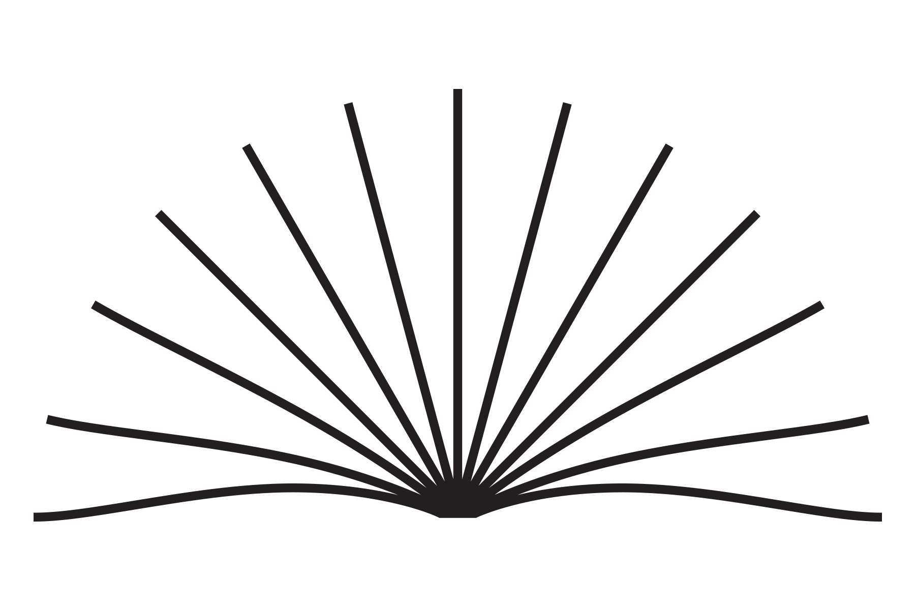 an illustration of a magazine with radiating pages